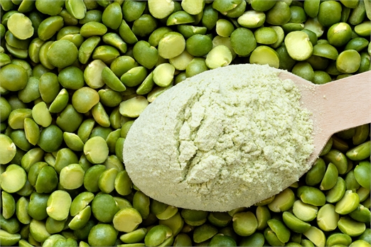 ORGANIC PEA PROTEINS 80% ISOLATED KG 20 – NON UE AGR.