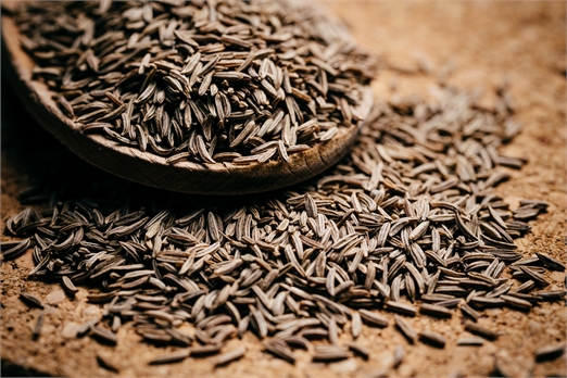 ORGANIC CARAWAY SEEDS EGYPT AGRIC.